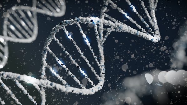 ADN blanc sur fond noir lors d'une analyse d'un test de paternité